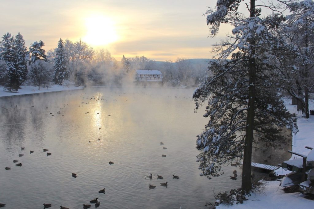 Lake In Winter